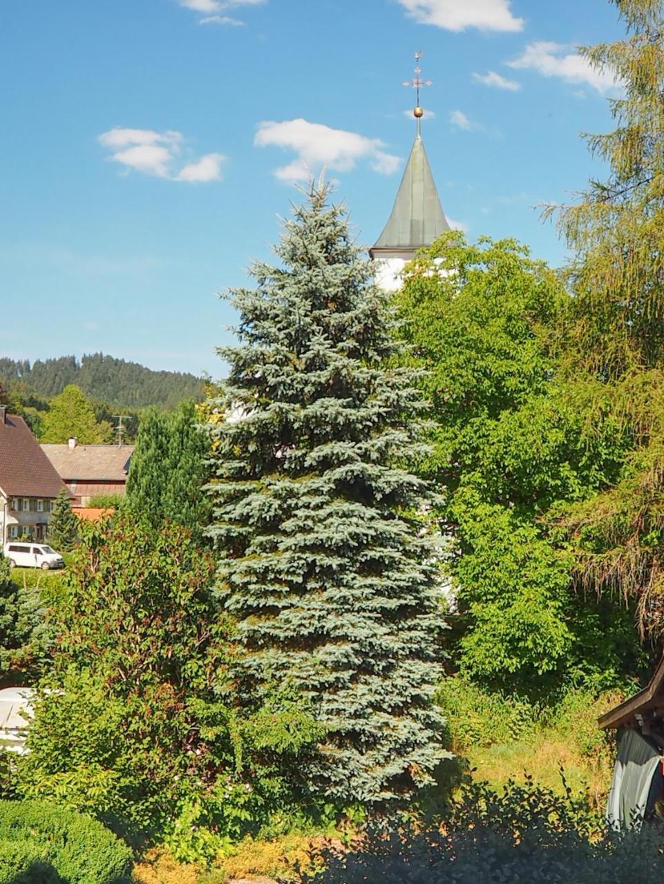 Landgasthof Zum Schwarzen Grat Isny im Allgäu Екстериор снимка